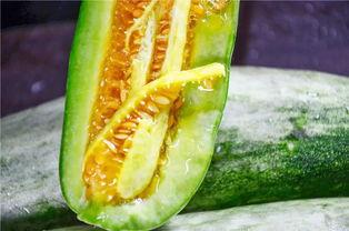 潍坊吃瓜网红有哪些公司,潍坊吃瓜网红背后的公司概览  第3张