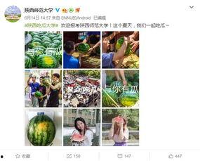 长清大学吃瓜免费播放,吃瓜免费，校园生活新潮流  第3张